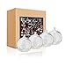 Glass Hanging Air Orbs Terrariums, Glass Plant Terrariums Globe Set of 4 pcs by SWISSELITE BILOBA