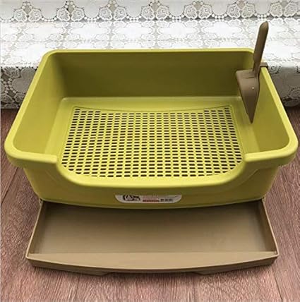 1999 signature beanie baby ebay