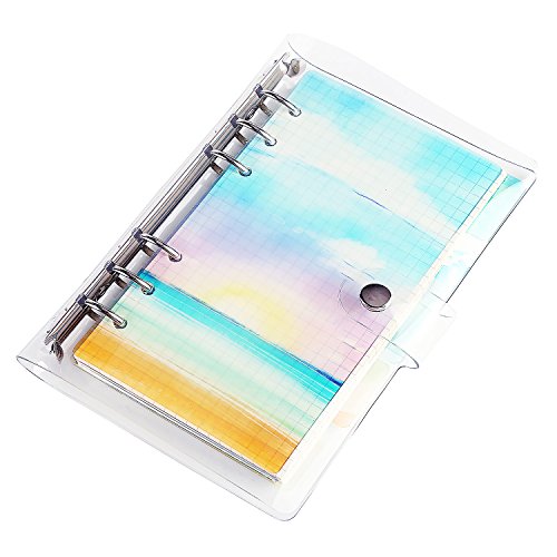 Rancco A5 Dividers Insertable Index Page Tab Cards, 2 Sets 12 Pcs Translucent 6-Holes Binder Classified Lables for Filofax Notebook/Travel Diary Journal/Planner w/Ruler