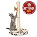 Cat Scratching Post with Hanging Butterfly Toy