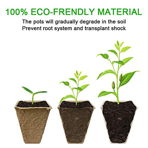 Seed Starter Peat Pots-Biodegradable Plant Seed Starter Peat Pots Holes Eco-Friendly Germination Seedling Trays with Bonus 10pcs Plant Markers for Vegetable Seed Germination，10pcs（120 Cells）