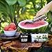 KUCHE Easy Trigger Stainless Steel Ice Cream Scoop, Cookie Dough and Water Melon Scoop