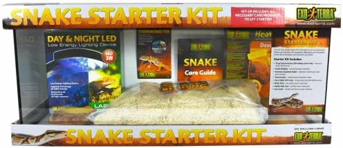 exo terra bearded dragon starter kit