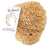 The Natural Sea Sponge, 7 to 8-Inch, Yellow