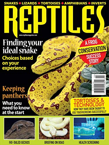 Reptiles