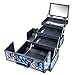 SHANY Premier Fantasy Professional Makeup Train Case Cosmetic Box Portable Makeup Case Organizer Jewelry storage with Locks, 3 Trays,Makeup Brush Holder and Cosmetics Mirror - Divine Blue