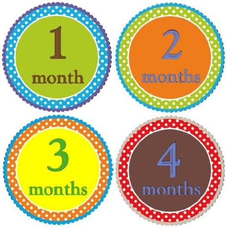 Monthly Stickers Monthly Baby Stickers Monthly Baby Boy Stickers Baby Boy Polka Dot Scalloped Primary Colors Waterproof Baby Shower Gift