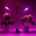 2000W Full Spectrum LED Grow Light, Derlights Sunlike Grow Lights Panel
