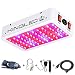 King Plus 600W LED Grow Light Full Spectrum for Indoor Plants Veg and Flower(Dual-Chip 10W LEDs 60Pcs)