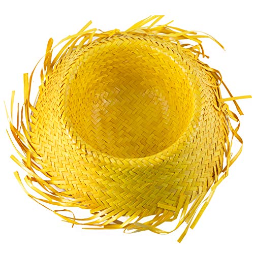 Funny Party Hats Beachcomber Hat – Hawaiian Luau Hat – Farmers Hat