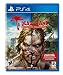 Dead Island Definitive Collection - PlayStation 4