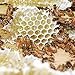 Tasmanian Honey Company Tasmanian | Christmas Bush | 350g | Unfiltered | Raw | Unheated | Hand-Crafted | Product of Australia | Iconic Metal Can |