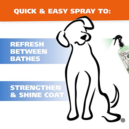 Wahl Deodorizing & Refreshing Pet Deodorant for Dogs Eucalyptus
