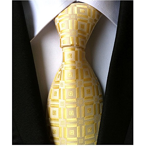 Jeatonge Lot 6 Pcs Mens Ties and 3 Free Tie Clips, Men's Classic Tie Necktie Woven Jacquard Neck Ties Gift box packing (Style 20)