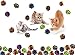 Prairie Horse Supply X Large Premium Mylar Crinkle Balls (7 Pack) (2.5 Inches in Diameter) Interactive Long Lasting Lightweight Shiny Metallic Cat Kitten Toys Assorted Colors