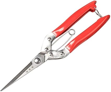 Amazon Co Jp Hengtongtongxun グレープ用ハサミ フルーツ用ハサミ 庭用ハサミ 剪定用ハサミ フルーツ用ハサミ 細いフルーツ用ハサミ 花用ハサミ 園芸用ハサミ 赤 Color A3 ホーム キッチン