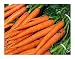 David's Garden Seeds Carrot Imperator 58 SL1871 (Orange) 500 Heirloom Seeds