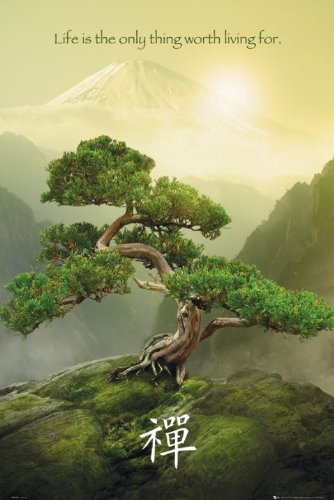 Zen-Mountain Poster 24 x 36in