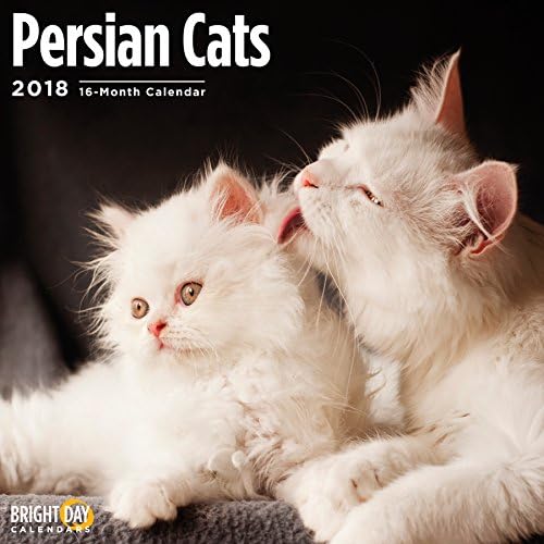 Persian Cats 2018 16 Month Wall Calendar 12 x 12 inches Bright Day Calendars Publishing