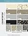 Beyond Paint All-in-One Refinishing Paint, No Sanding, Matte Finish for Cabinets, Countertops, Furniture and Doors, 1 Pint, Soft Gray
