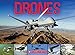 Drones: From Insect Spy Drones to Bomber Drones