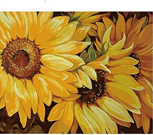 Hnzyf 数字によるデジタル油絵diy絵画キットひまわり抽象的現代の家の壁アート画像花数字による絵画 インチ 子どもたちの絵 40 50 35 Off 16 inch フレームレス