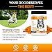 Renew Actives Organic Turmeric Joint Supplement for Dogs - Advanced Canine Support for Hip, Joint & Cartilage Health - Natural Mobility Formula with 120 Chewable Soft Treats