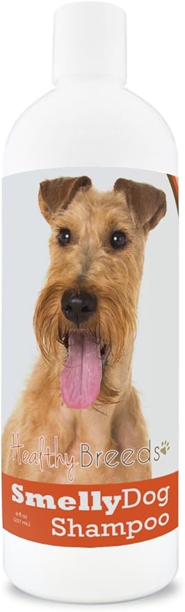 non stinky stuff for dogs amazon