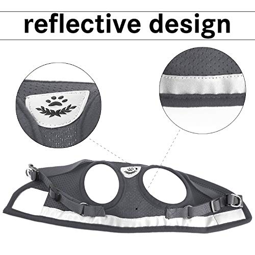 Kamots Beauty Escape Proof Cat Harness and Leash for Walking Adjustable Soft Mesh Pet Vest with Lead for Kitten -(Grey,S)