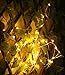 daxpoo 100 LED 33FT Copper Wire Solar Outdoor Waterproof Fairy String Lights (Warm White)