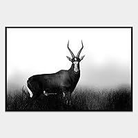 SIGNWIN Framed Canvas Wall Art Wild Animals Canvas Prints Home Artwork Decoration for Living Room,Bedroom - 16