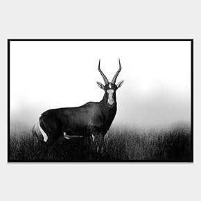 SIGNWIN Framed Canvas Wall Art Wild Animals Canvas...