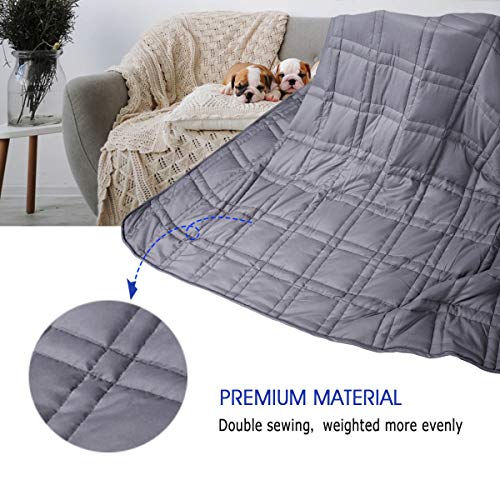 htovila Weighted Blanket 10 lbs 48"x72" for Kids& Adults, Heavy Blanket