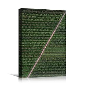 signwin Canvas Wall Art Forest Arrangement Abstract Colorful...