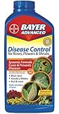 Bayer Advanced 701250 Disease Control for Rose, Flower and Shrubs Concentrate, 32-Ounce