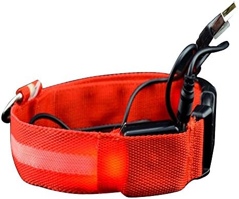 Led Pet Dog Collar, USB Rechargeable Night Safety Flashing Collar Light-up Dog Necklace Loop Puppy Illuminating Collar with Adjustable Buckle