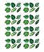Stickerbrand Set of 48 Tropical Plant Leaves Wall Decal, Hawaiian Party Beach Theme Decor. Great for Birthdays, Prom, Wedding Events #6094m