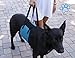 XL Blue Dog Lift Support Harness for canine aid - Lifting Older K9 with handle for Injuries, Arthritis or Weak hind legs & Joints. Large / X-large breed Assist Sling for mobility & Rehabilitation