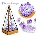 BOHON Decorative Lights Amethyst LED String Lights Battery Operated with Remote 10 ft 40 LEDs Natural Crystal String Lights for Bedroom Party Indoor Birthday Wedding Decor Valentine's Day Gift