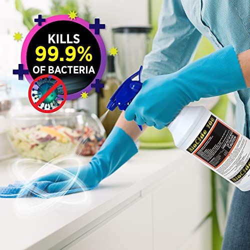 Biocide 100 MultiPurpose Cleaner and Disinfectant Spray DIY Mold