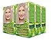 Naturtint 10A Light Ash Blonde Permanent Hair Color (Pack of 6), Ammonia Free, Vegan, Cruelty Free, up to 100% Gray Coverage, Long Lasting Results (Packaging may vary)
