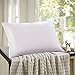 Orose Silk Pillowcase,100% 22MM Silk on Both Sides,Good for Hair and Facial Beauty, Gift Wrap,1Pc (Queen, ivory)