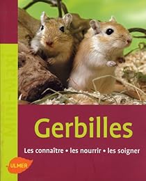 Gerbilles