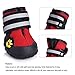 Fantastic Zone Waterproof Dog Shoes for Various Size Dogs Labrador Husky Paw Protectors Shoes 4 Pcs
