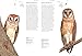 Owls: A Guide to Every Species in the World