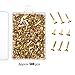WILLBOND 500 Pieces Brass Plated Paper Fasteners Round Metal Brads with Storage Box Assorted Size Brads (Gold)
