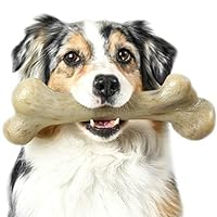 Pet Qwerks Real Bacon Infused Dinosaur BarkBone - Durable Dog Toy for Aggressive Chewers, Tough Indestructible Power Chewer Bones | Made in USA, FDA Compliant Nylon - XLarge for Small Dogs