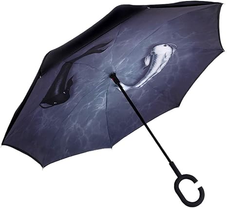 Amazon Co Jp Mqq 二重層逆傘ハンズフリーロングハンドル男性と女性の二重雨二重自動傘 Color C ホーム キッチン