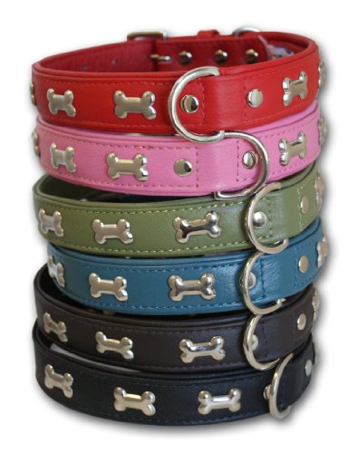 Leather "Bones" Dog Collar, Padded, Double-Ply,  Riveted Settings, 22" x 1", Black, Leather (Rotterdam Bones) Neck Size: 16.5" - 20"