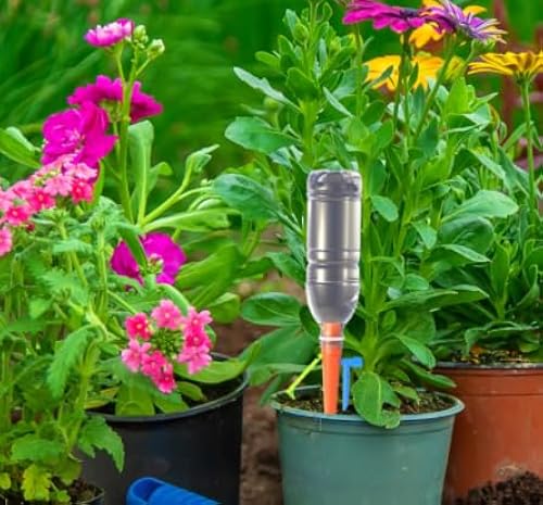 Tearcam Plant Self Watering Spikes Devices, Jamaica